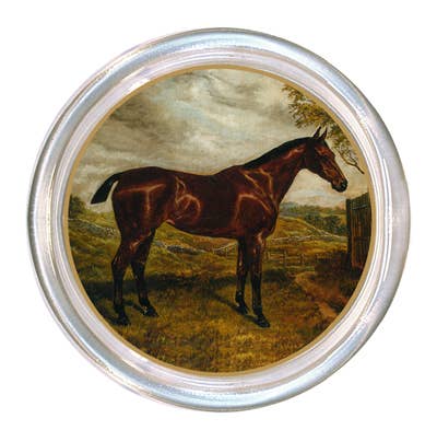 Marye Kelly Bay Horse Facing Right  Coaster