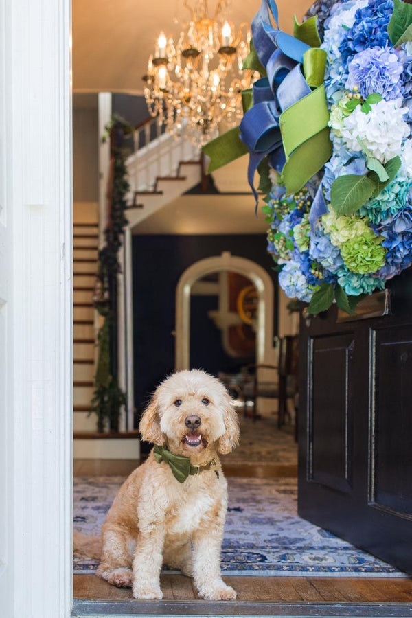 Madeline  large 38”