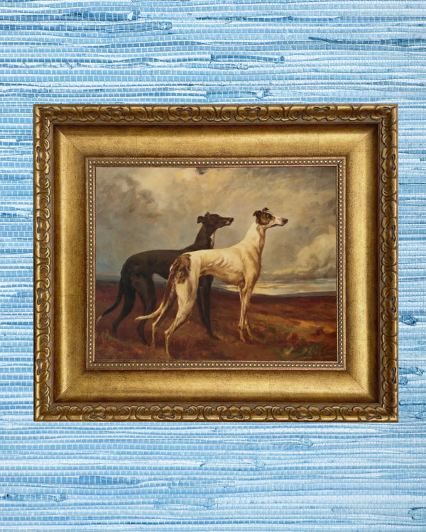 Greyhounds in field