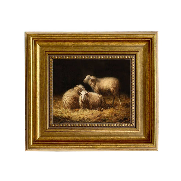 Sheep in Hay Framed Oil Painting Print on Canvas: 5" x 6"