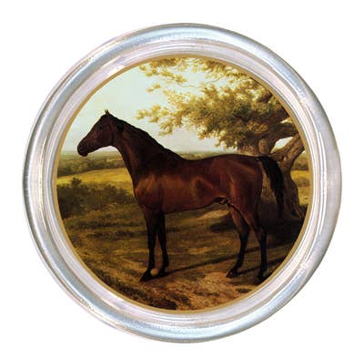 Marye Kelly Bay Horse Facing Left Coaster