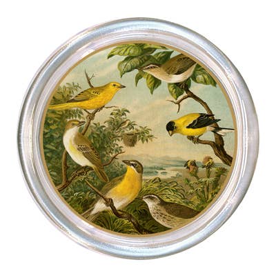 Marye Kelly Yellow Birds Coaster